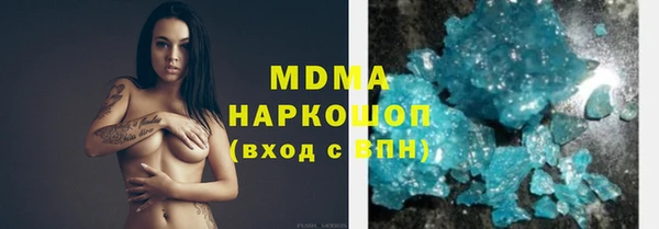 шишки Бородино