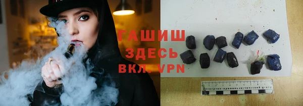 шишки Бородино
