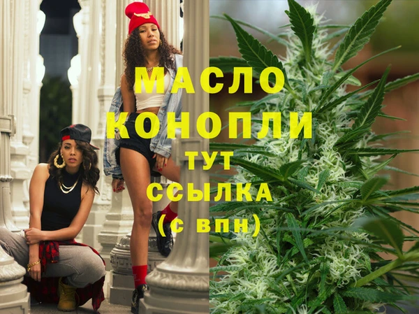 шишки Бородино