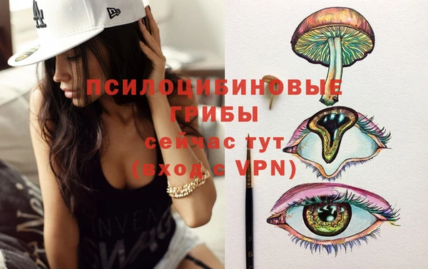 шишки Бородино