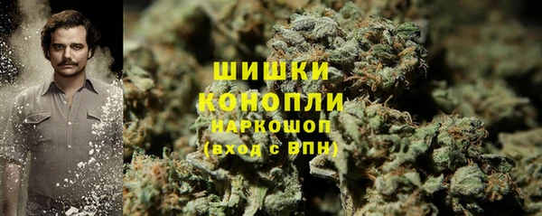 шишки Бородино