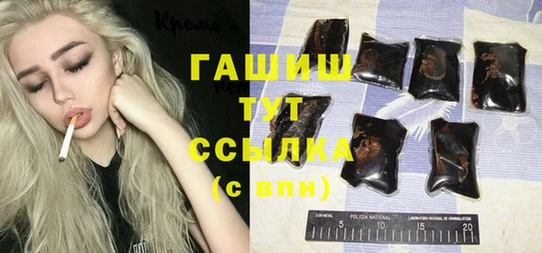 шишки Бородино