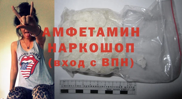 шишки Бородино
