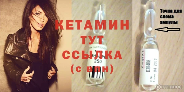 шишки Бородино