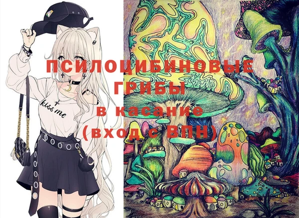 шишки Бородино